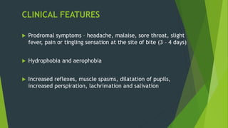 CLINICAL FEATURES
 Prodromal symptoms – headache, malaise, sore throat, slight
fever, pain or tingling sensation at the site of bite (3 – 4 days)
 Hydrophobia and aerophobia
 Increased reflexes, muscle spasms, dilatation of pupils,
increased perspiration, lachrimation and salivation
 