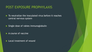 POST EXPOSURE PROPHYLAXIS
 To neutralize the inoculated virus before it reaches
central nervous system
 Single dose of rabies immunoglobulin
 A course of vaccine
 Local treatment of wound
 
