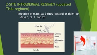 2-SITE INTRADERMAL REGIMEN (updated
THAI regimen)
Injection of 0.1ml at 2 sites (deltoid or thigh) on
days 0, 3, 7 and 28.
 