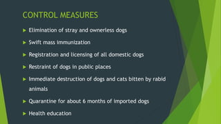 CONTROL MEASURES
 Elimination of stray and ownerless dogs
 Swift mass immunization
 Registration and licensing of all domestic dogs
 Restraint of dogs in public places
 Immediate destruction of dogs and cats bitten by rabid
animals
 Quarantine for about 6 months of imported dogs
 Health education
 