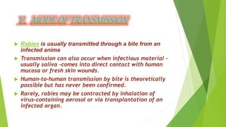 Rabies | PPTX