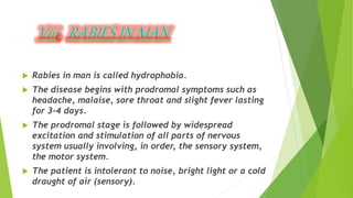 Rabies | PPTX