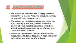 .
 The incubation period in man is highly variable,
commonly 1-3 months following exposure but may
vary from 7 days to many years.
 The incubation period depends on the site of the
bite, severity of the bite, number of wounds,
amount of virus injected, species of the biting
animal, protection provided by the clothing and
treatment undertaken,etc.
 incubation period tends to be shorter in severe
exposures and bites on face, head, neck and upper
extremities and bites by wild animals.
 