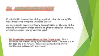 Prophylactic vaccination of dogs against rabies is one of the
most important weapons in rabies control.
All dogs should receive primary immunization at the age of 3-4
months and booster doses should be given at regular intervals,
according to the type of vaccine used.
1. BPL inactivated nervous tissue vaccine (Single dose) : This is
based on 20% suspension of infected sheep brain. The dose is 5 ml
for dogs and 3 ml for cats. Revaccination is advised after 6
months, and subsequently every year.
 