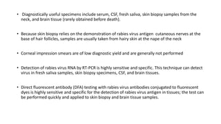 Rabies in Children | PPTX