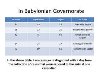In the above table, two cases were diagnosed with a dog from
the collection of cases that were exposed to the animal.one
cases died
sectores
august
september
october
First Hilla Sector
36
45
54
Second Hilla Sector
21
32
25
Almahaweel of
sector
50
45
42
Musayyib of sector
17
24
24
Hashemite of sector
66
59
79
In Babylonian Governorate
 