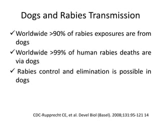 Dogs and Rabies Transmission
Worldwide >90% of rabies exposures are from
dogs
Worldwide >99% of human rabies deaths are
via dogs
 Rabies control and elimination is possible in
dogs
CDC-Rupprecht CE, et al. Devel Biol (Basel). 2008;131:95-121 14
 
