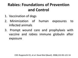 Rabies: Foundations of Prevention
and Control
1. Vaccination of dogs
2. Minimization of human exposures to
infected animals
3. Prompt wound care and prophylaxis with
vaccine and rabies immune globulin after
exposure
CDC-Rupprecht CE, et al. Devel Biol (Basel). 2008;131:95-121 14
 