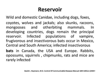 Reservoir
Wild and domestic Canidae, including dogs, foxes,
coyotes, wolves and jackals; also skunks, racoons,
mongooses and otherbiting mammals. In
developing countries, dogs remain the principal
reservoir. Infected populations of vampire,
frugivorous and insectivorous bats occur in Mexico,
Central and South America; infected insectivorous
bats in Canada, the USA and Europe. Rabbits,
opossums, squirrels , chipmunks, rats and mice are
rarely infected
 