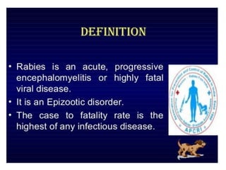 RABIES | PPTX