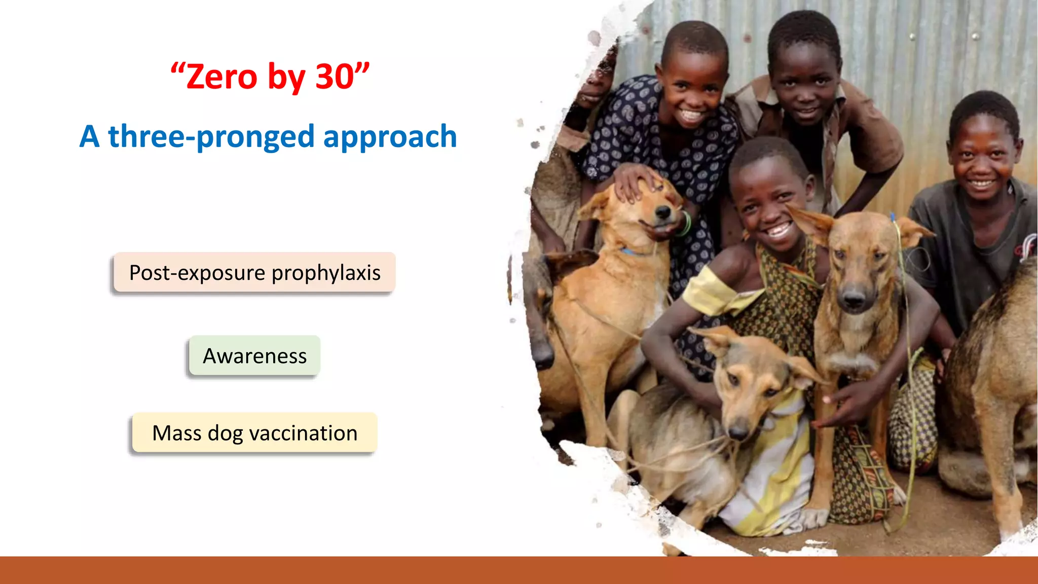 “Zero by 30”
A three-pronged approach
Post-exposure prophylaxis
Mass dog vaccination
Awareness
 