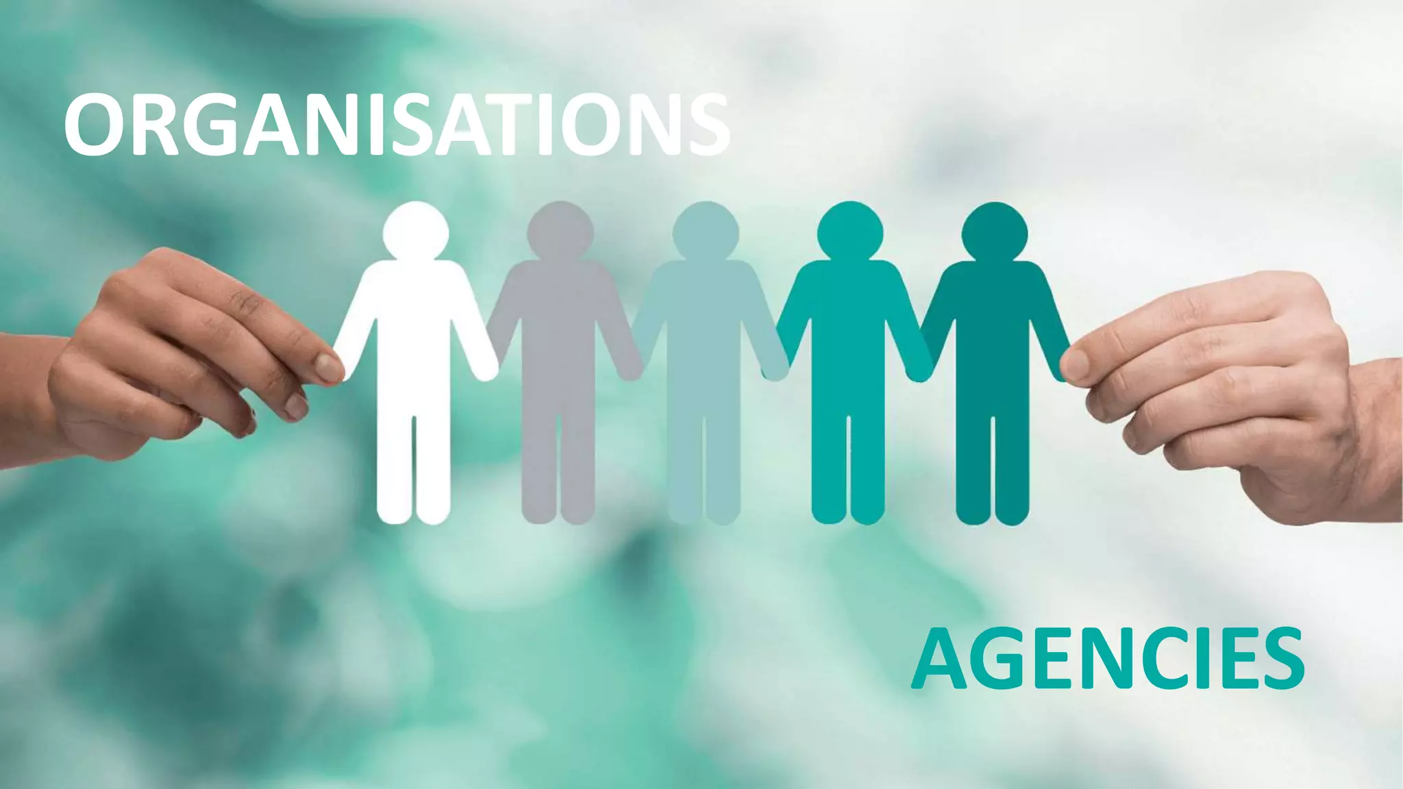 ORGANISATIONS
AGENCIES
 