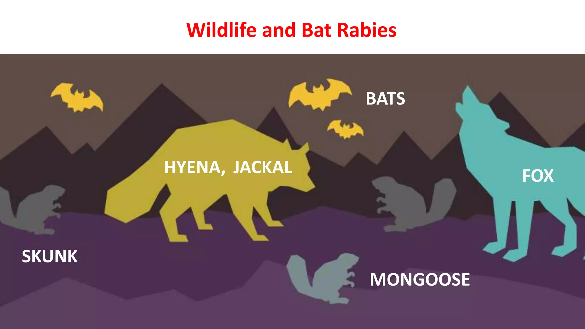 FOX
HYENA,
MONGOOSE
BATS
SKUNK
Wildlife and Bat Rabies
JACKAL
 