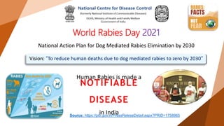 Rabies.pptx