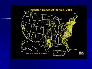 rabies.ppt