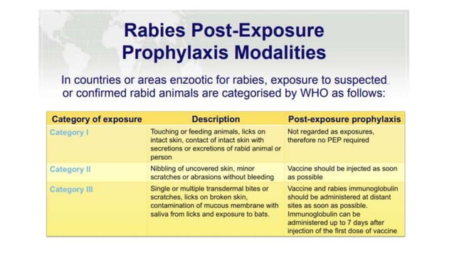 Rabies | PPT