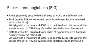 Erig Shot Rabies Rabies | PPTX