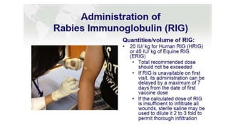 Infiltration Injection Rabies Rabies | PPTX