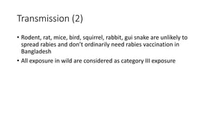 Rabies | PPTX