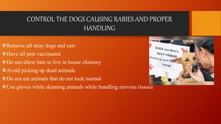 RABIES.pptx | Infectious Diseases | Diseases and Conditions