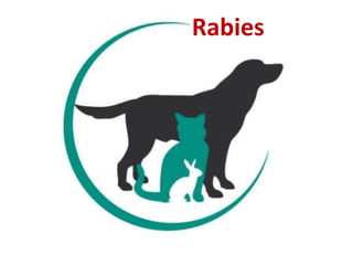 Rabies
 