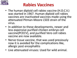 Rabies: The Most Fatal Disease.pptx