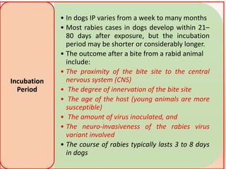 RABIES.pptx