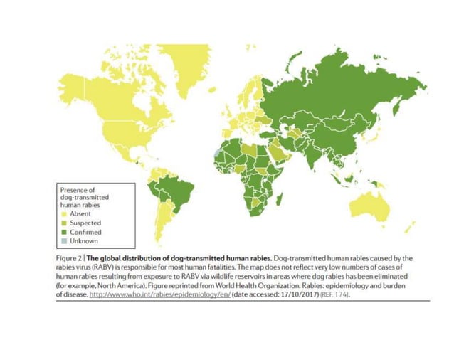 Rabies.pptx(Epidemiology,pathophysiology.clinical features and ...