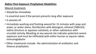 Rabies.pptx