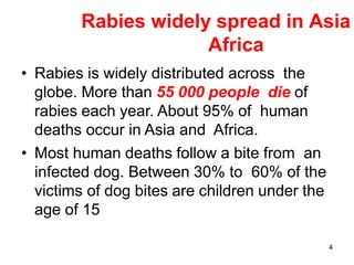 Morphology of Rabies virus and its clinical significance.pptx