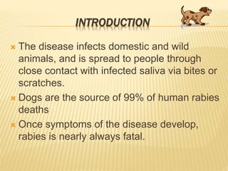 rabies, definition, introduction, diagnosis.pptx