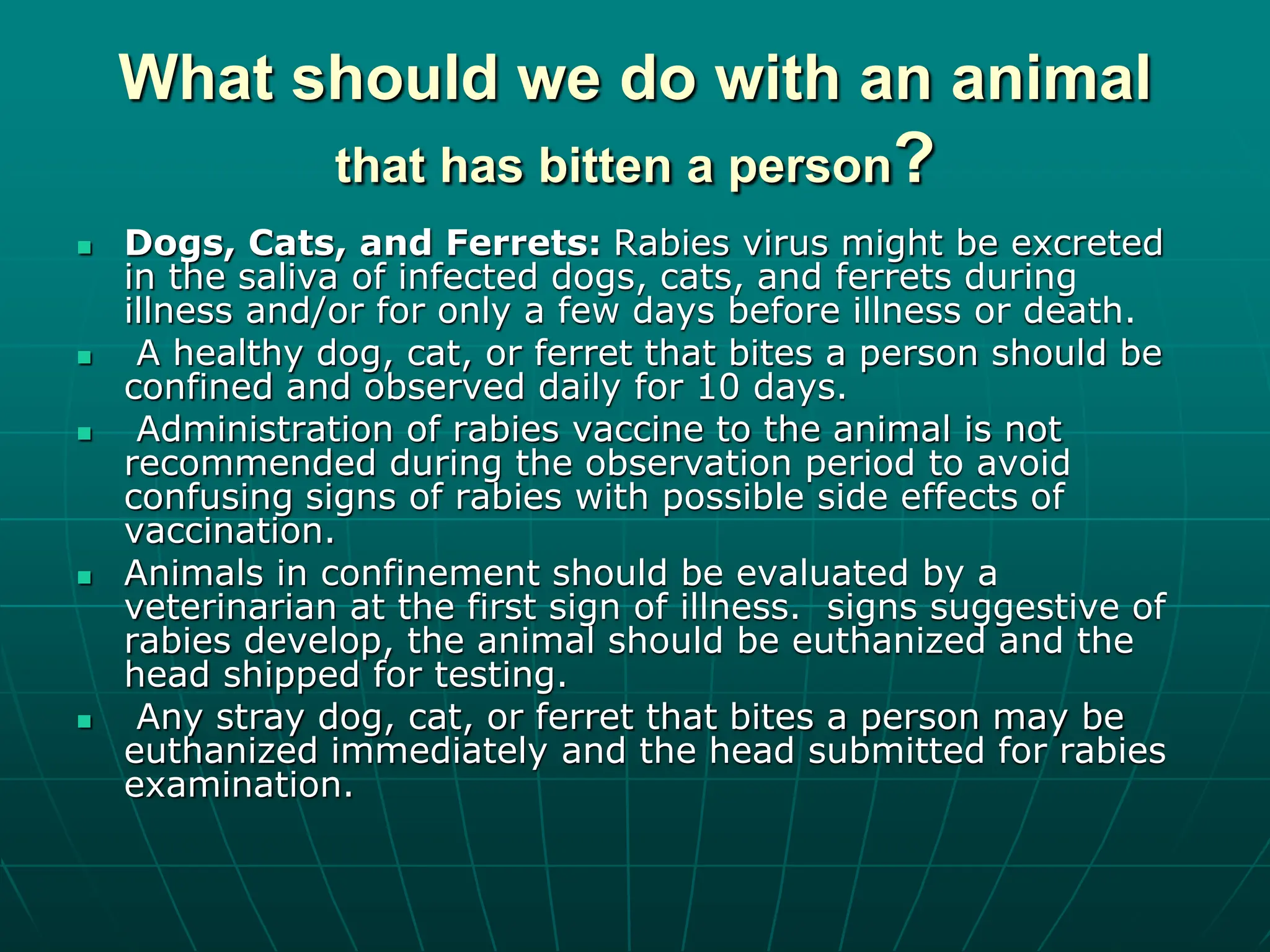 Ferrets Rabies Information for veterinarians Rabies.ppt