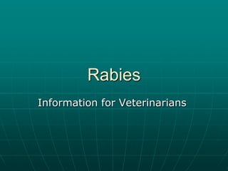 Rabies
Information for Veterinarians
 