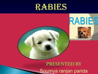 Rabies. The presentation for community medicine | PDF