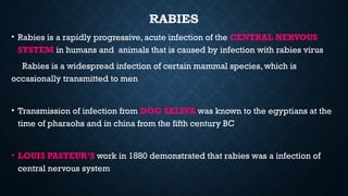 Rabies dog bite management powerpoint presentation | PPTX