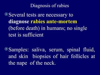 Rabies.pptxfdix4ubx6obze8k dukcrivds7ivd | PPTX