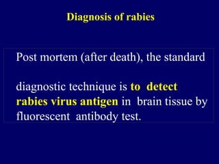 Rabies.pptxfdix4ubx6obze8k dukcrivds7ivd | PPTX