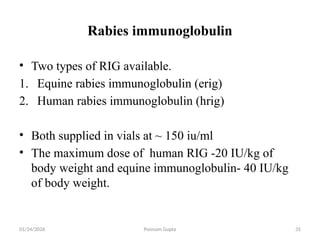 RABIES.pptx based on syllabus of bsc nursing ba | PPTX