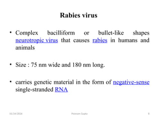 RABIES.pptx based on syllabus of bsc nursing ba | PPTX