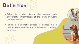 Comprehensive Overview of Rabies: Diagnosis, Treatment, and Prevention ...