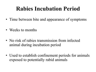 Comprehensive Overview of Rabies: Transmission, Diagnosis, and ...