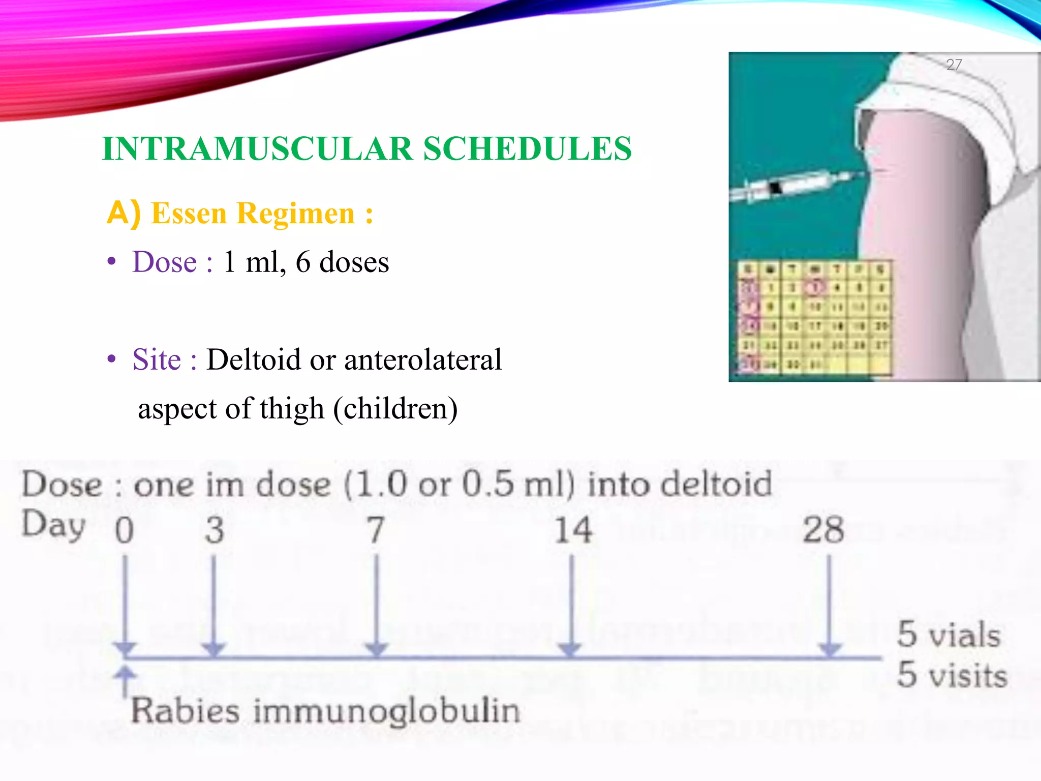 Intramuscular Injection Rabies Rabies | PDF