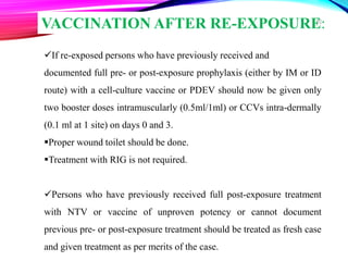 ✓If re-exposed persons who have previously received and
documented full pre- or post-exposure prophylaxis (either by IM or ID
route) with a cell-culture vaccine or PDEV should now be given only
two booster doses intramuscularly (0.5ml/1ml) or CCVs intra-dermally
(0.1 ml at 1 site) on days 0 and 3.
▪Proper wound toilet should be done.
▪Treatment with RIG is not required.
✓Persons who have previously received full post-exposure treatment
with NTV or vaccine of unproven potency or cannot document
previous pre- or post-exposure treatment should be treated as fresh case
and given treatment as per merits of the case.
VACCINATION AFTER RE-EXPOSURE:32
 