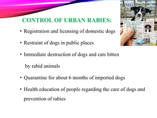 CONTROL OF URBAN RABIES:
• Registration and licensing of domestic dogs
• Restraint of dogs in public places
• Immediate destruction of dogs and cats bitten
by rabid animals
• Quarantine for about 6 months of imported dogs
• Health education of people regarding the care of dogs and
prevention of rabies
43
 