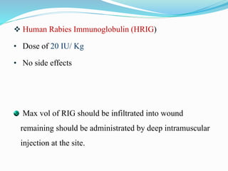 Infiltration Injection Rabies Rabies copy | PPTX