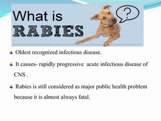 Is Rabies Acute Rabies copy | PPTX