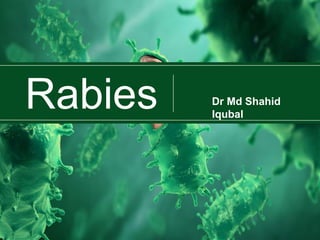 Rabies Dr Md Shahid
Iqubal
 