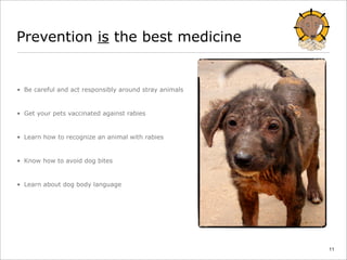 Rabies: information you need to know | PPT
