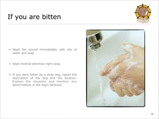 Rabies: information you need to know | PPT