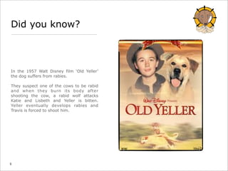 Disney Rabies Rabies: information you need to know | PDF